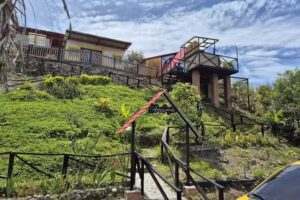 NEBLINAS CAMPESTRE GRAMALOTE