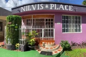 Nilvis Place