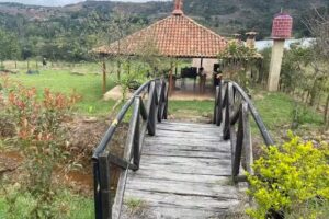 Oasis del Molino – Experiencias