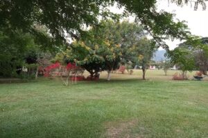 OASIS, eventos y naturaleza