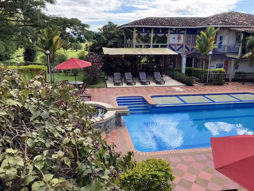 Oasis Verde