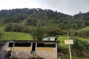 Ofihotel Peñon Suites