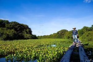 Operadora de Turismo Vaqueros del R&iacute;o Pauto Trinidad Casanare