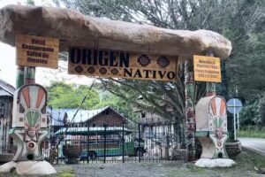 ORIGEN NATIVO
