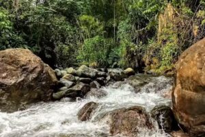 Pachamama Villacarmelo