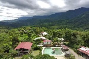 PALMAR DE MIZ&Uacute;