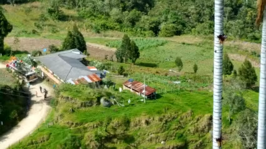 Palmares de Cera