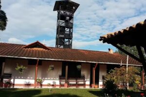 PALO ALTO SAN AGUSTIN