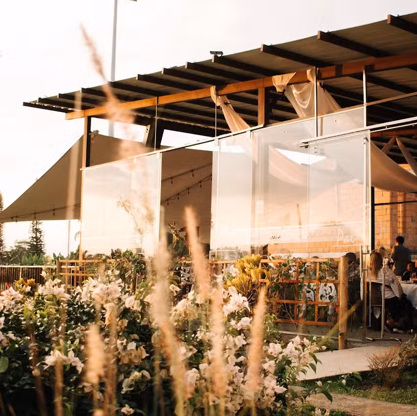 Palo Grande Combia, Pereira