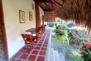 Palomino breeze hotel