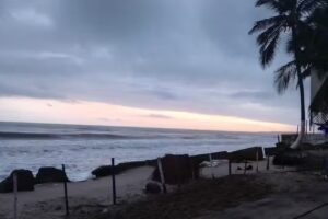 Palomino Plaza Hostel