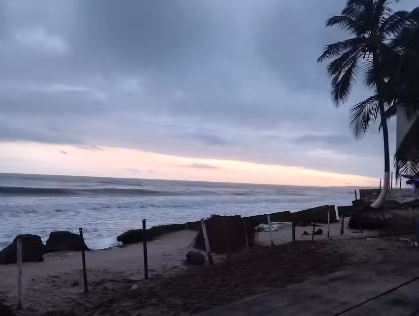 Palomino Plaza Hostel