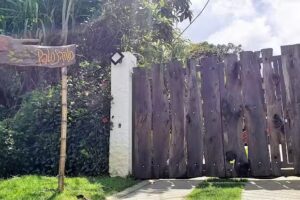 PaloSanto Bed & Breakfast