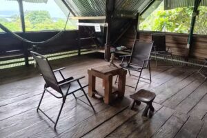 Paraiso Ayahuasca Hostel & Tours