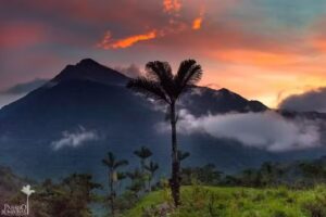 Para&iacute;so Bombonas Reserva Natural