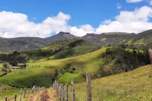 P&aacute;ramo del Amoladero