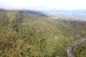 P&aacute;ramo del Bijagual