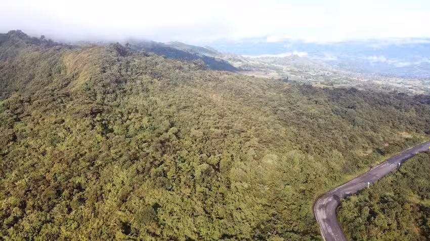 P&aacute;ramo del Bijagual