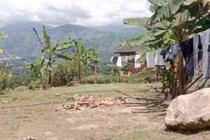 Parcela Gamboa larrota