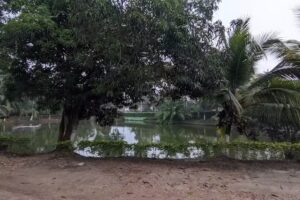 PARQUEADERO Y HOTEL LOS LAGOS