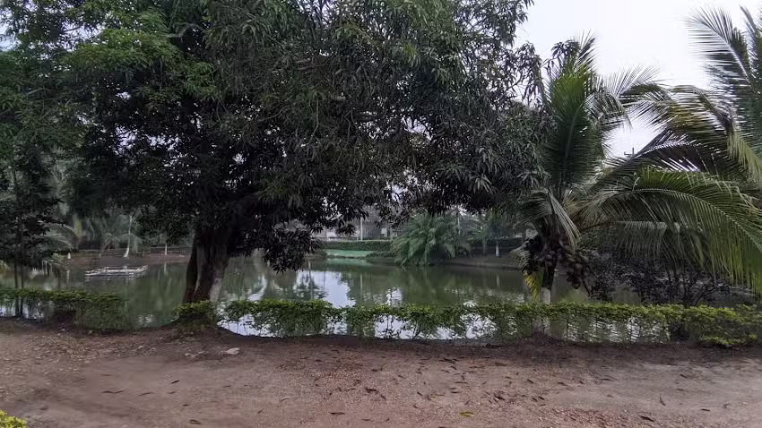 PARQUEADERO Y HOTEL LOS LAGOS