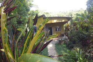 Partyeye Guest House.Minca