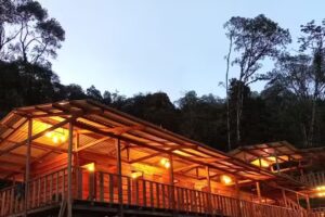 Paseo por las Nubes Birding Lodge