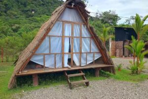 PASPALUM GLAMPING ACACIAS