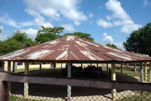 pedregoza la mejor tierra