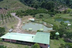 Pesca deportiva playa rica
