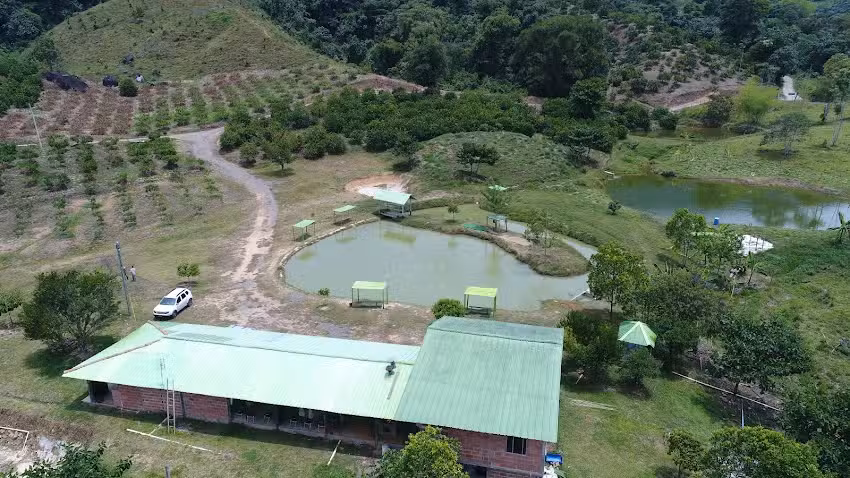 Pesca deportiva playa rica