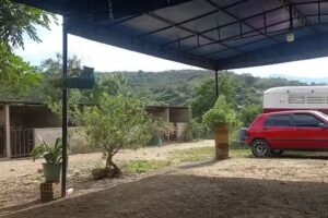 Pesebreras La Campi&ntilde;a