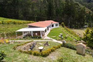 Pinares Del Carrizalito