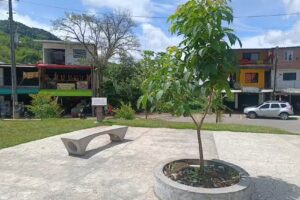 P&iacute;&ntilde;uela