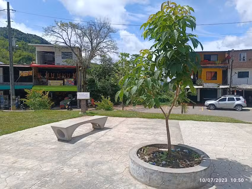 P&iacute;&ntilde;uela