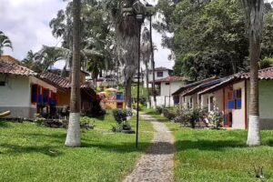 Pipe Tours Del Quindio