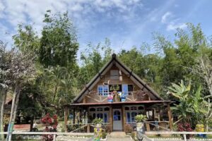 Piscina, Bar y Zona de Camping