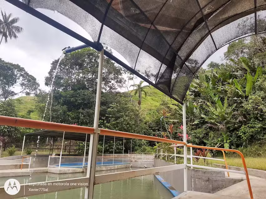 Piscinas de Gazaduje