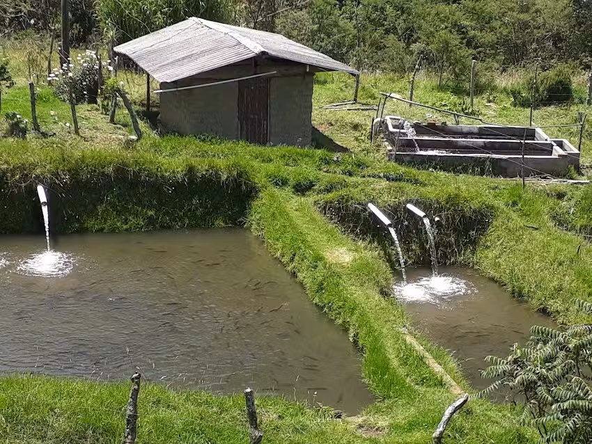 Pisicultura La Chorrera