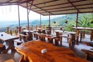 Pizzer&iacute;a , hostal W