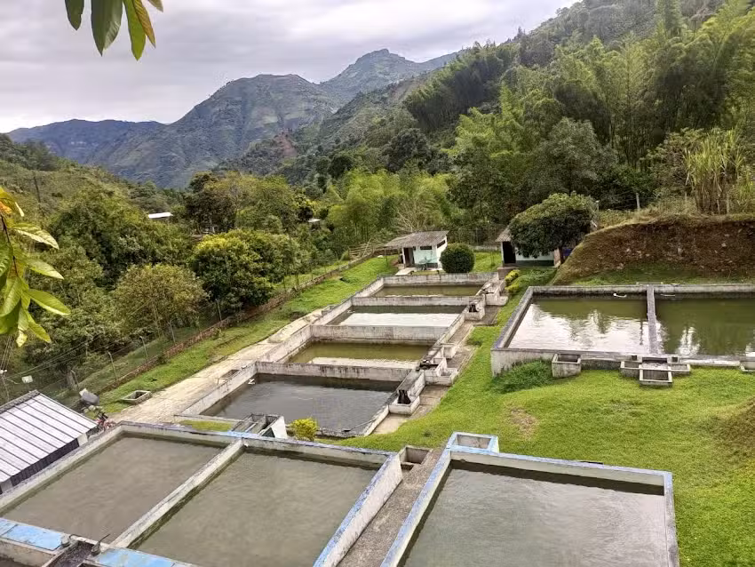 PLANTA DE TRATAMIENTO ACUEDUCTO BELALCAZAR