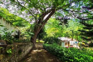 Playa Rica Boquer&oacute;n
