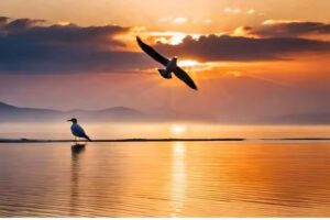 Playas la pura avistamiento de aves y puesta de sol