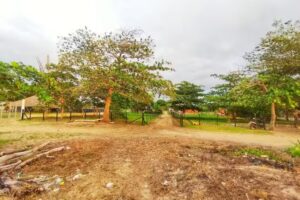 Playas Mart&iacute;nez