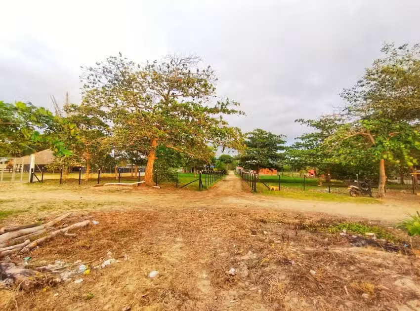 Playas Mart&iacute;nez