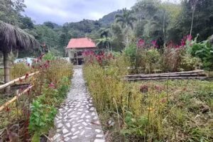 Portal Campestre Los Guaduales &ndash; Caba&ntilde;as & Piscinas.