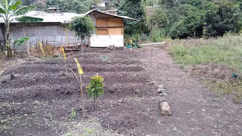 portal del sembrador