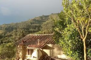 Posada Agroecologica Bochica Chalet.