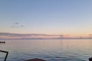 Posada Betitos Place