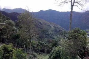 POSADA CAMPESINA VILLA LUZ